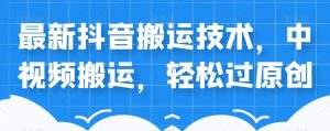 外卖598元的最新抖音搬运技术,中视频搬运,轻松过原创-淘金日记