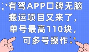 有驾APP口碑无脑搬运项目又来了，单号最高110块，可多号操作-淘金日记