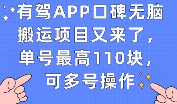 有驾APP口碑无脑搬运项目又来了，单号最高110块，可多号操作-淘金日记