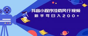 抖音小程序挂载风行视频,新手可日入200+-淘金日记