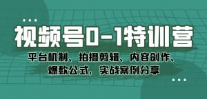视频号0-1特训营:平台机制、拍摄剪辑、内容创作、爆款公式,实战案例分享-淘金日记