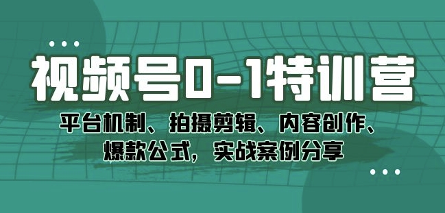 视频号0-1特训营:平台机制、拍摄剪辑、内容创作、爆款公式,实战案例分享-淘金日记