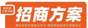 王昕招商方案,解构招商方案意识形态,精准把握渠道代理基本法-淘金日记