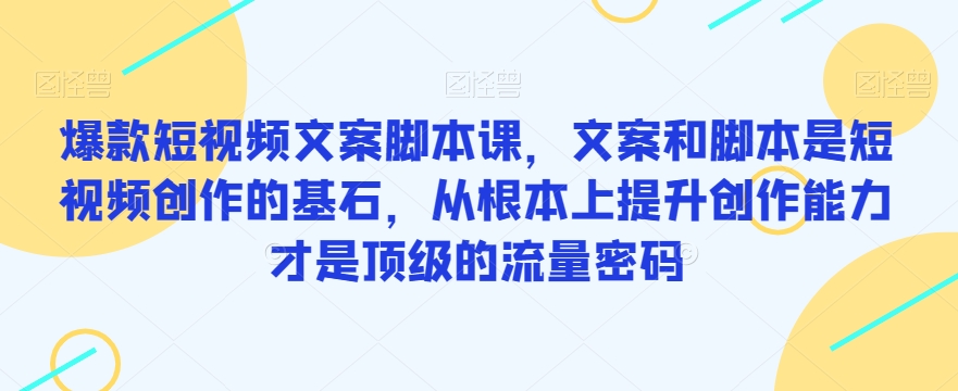 爆款短视频文案脚本课,文案和脚本是短视频创作的基石,从根本上提升创作能力才是顶级的流量密码-淘金日记