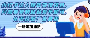 小红书达人矩阵变现项目,只需要复制粘贴发布即可,从而获取广告费用-淘金日记