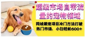 超级市场自带流量的宠物领域，同城萌宠项目冷门方法打破热门市场，小白轻松600+-淘金日记