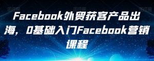 Facebook外贸获客产品出海,0基础入门Facebook营销课程-淘金日记