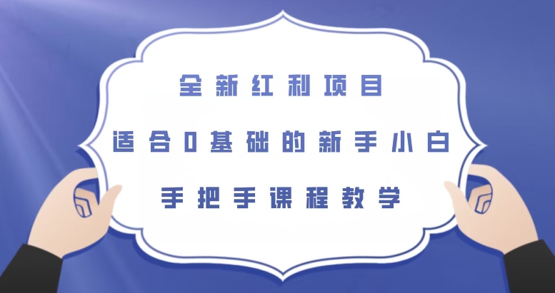 全新红利项目，适合0基础的新手小白，手把手课程教学【揭秘】-淘金日记