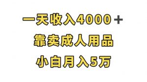 一天收入4000+,靠卖成人用品,小白轻松月入5万【揭秘】-淘金日记