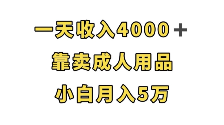 一天收入4000+,靠卖成人用品,小白轻松月入5万【揭秘】-淘金日记