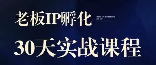 诸葛·2023老板IP实战课，实体同城引流获客，IP孵化必听-淘金日记