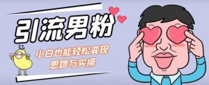 引流男粉+小白也能暴力变现的思路与实操【揭秘】-淘金日记