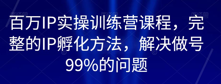 百万IP实操训练营课程,完整的IP孵化方法,解决做号99%的问题-淘金日记
