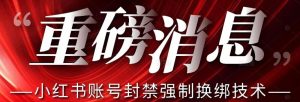 【最新】小红书账号封禁强制换绑技术可日赚300-淘金日记