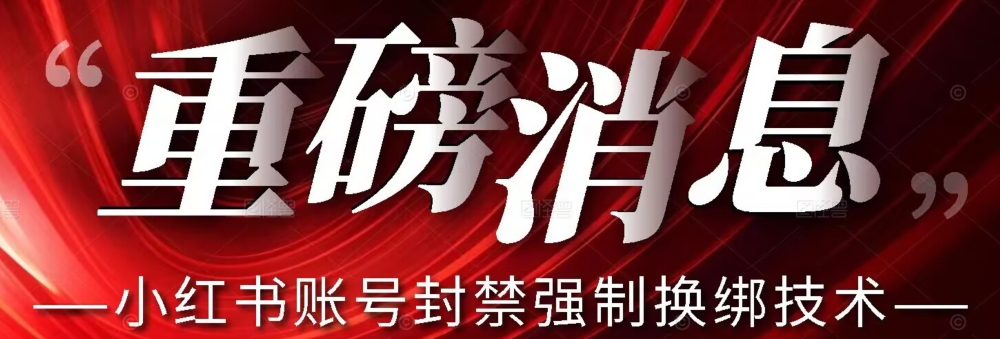 【最新】小红书账号封禁强制换绑技术可日赚300-淘金日记