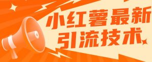 小红书最新引流技术,真正实现解放双手暴力引流-淘金日记