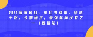 2023蓝海项目,小红书商单,快速千粉,长期稳定,最强蓝海没有之一(新玩法)-淘金日记