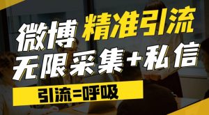 微博最新引流技术，软件提供博文评论采集+私信实现精准引流【揭秘】-淘金日记