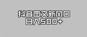 抖音图文最新风口，流量扶持非常高，日入500+【揭秘】-淘金日记