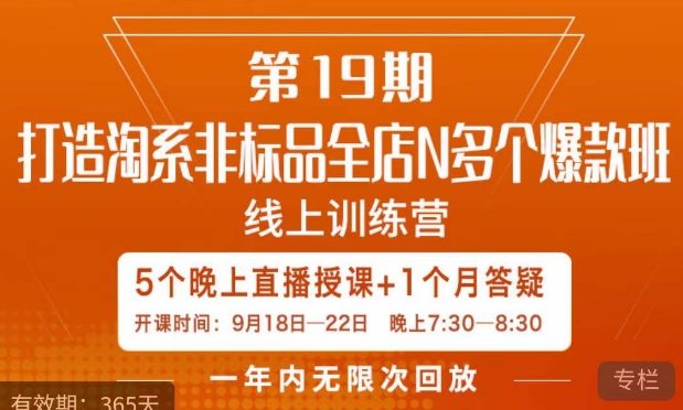 打造淘系非标全店N多个爆款线上课,5天直播课-淘金日记