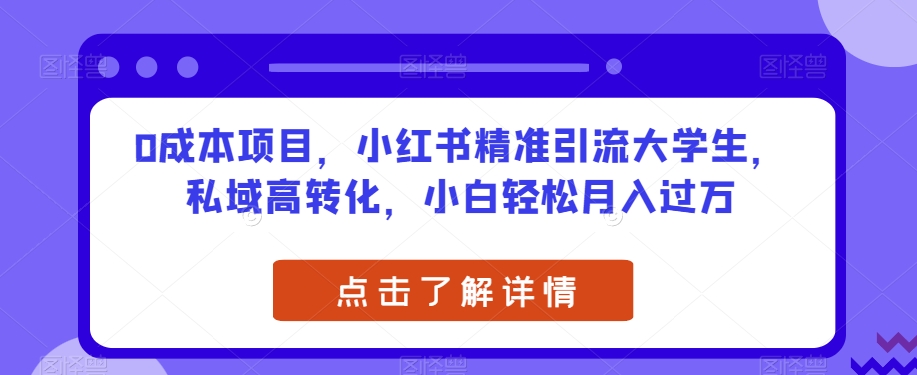 0成本项目,小红书精准引流大学生,私域高转化,小白轻松月入过万【揭秘】-淘金日记
