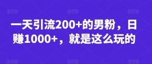 一天引流200+的男粉,日赚1000+,就是这么玩的【揭秘】-淘金日记