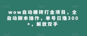 wow自动搬砖打金项目,全自动脚本操作,单号日撸300+,解放双手【揭秘】-淘金日记