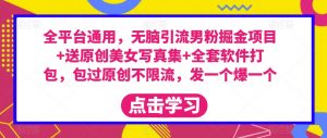 全平台通用，无脑引流男粉掘金项目+送原创美女写真集+全套软件打包，包过原创不限流，发一个爆一个【揭秘】-淘金日记