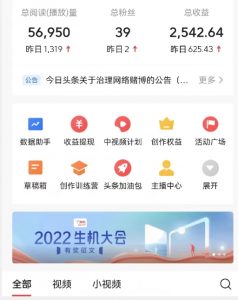 全新蓝海，西瓜视频流量掘金项目，简单上手适合0基础小白，暴力玩法日入500＋【揭秘】-淘金日记