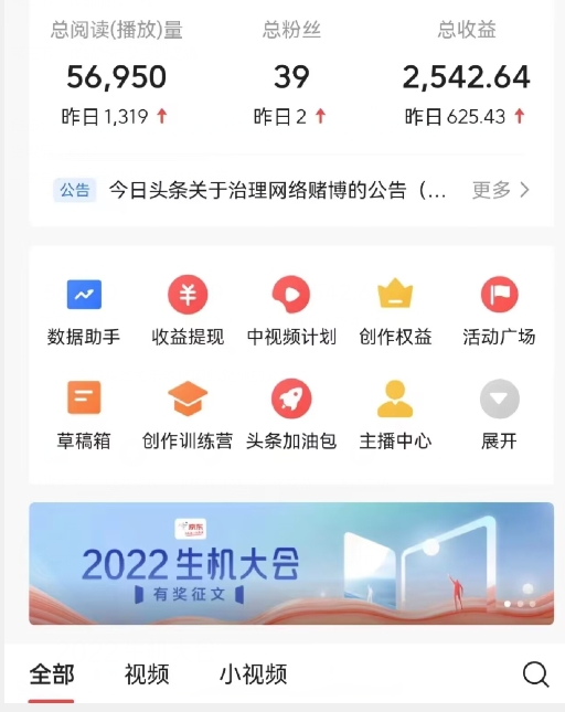 全新蓝海,西瓜视频流量掘金项目,简单上手适合0基础小白,暴力玩法日入500+【揭秘】-淘金日记