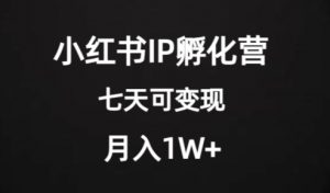价值2000+的小红书IP孵化营项目,超级大蓝海,七天即可开始变现,稳定月入1W+-淘金日记