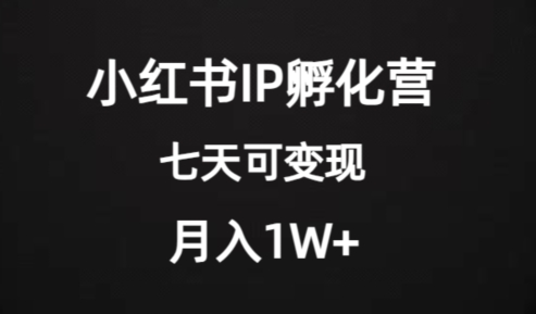 价值2000+的小红书IP孵化营项目,超级大蓝海,七天即可开始变现,稳定月入1W+-淘金日记