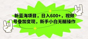 新蓝海项目,日入600+,视频号叠加变现,新手小白无脑操作【揭秘】-淘金日记