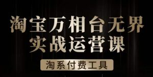 沧海·淘系万相台无界实战运营课,万相台无界实操全案例解析-淘金日记