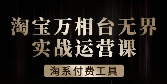 沧海·淘系万相台无界实战运营课,万相台无界实操全案例解析-淘金日记