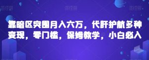 靠暗区突围月入六万，代肝护航多种变现，零门槛，保姆教学，小白必入【揭秘】-淘金日记