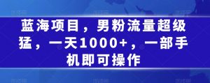 蓝海项目，男粉流量超级猛，一天1000+，一部手机即可操作【揭秘】-淘金日记