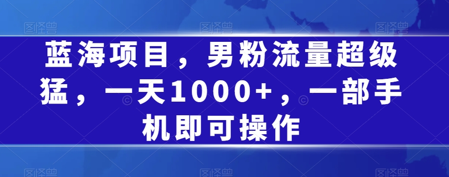 蓝海项目,男粉流量超级猛,一天1000+,一部手机即可操作【揭秘】-淘金日记