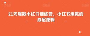 21天爆款小红书训练营,小红书爆款的底层逻辑-淘金日记