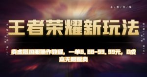 王者荣耀新玩法，卖虚拟国服操作教程，一单6.88-99.99元，0成本无限贩卖【揭秘】-淘金日记