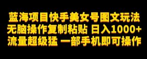 蓝海项目快手美女号图文玩法，无脑操作复制粘贴，日入1000+流量超级猛一部手机即可操作【揭秘】-淘金日记