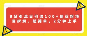 B站引流日引流100+创业粉项目拆解，超简单，2分钟上手【揭秘】-淘金日记