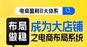 八大体系布局篇·布局做稳，成为大店的电商布局线上课-淘金日记