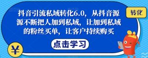 抖音引流私域转化6.0,从抖音源源不断把人加到私域,让加到私域的粉丝买单,让客户持续购买-淘金日记