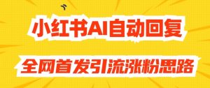 【原创开发】小红书AI自动回复，全网首发引流涨粉思路-淘金日记