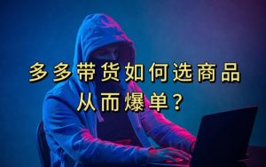 多多视频带货选什么商品链接才能爆单，10分钟教会你，爆单不是浮云【揭秘】-淘金日记
