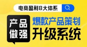 电商盈利8大体系 ·产品做强爆款产品策划系统升级线上课,全盘布局更能实现利润突破-淘金日记