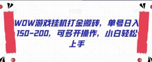 WOW游戏挂机打金搬砖，单号日入150-200，可多开操作，小白轻松上手【揭秘】-淘金日记