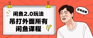 闲鱼2.0玩法单号每天日入2000,吊打市面所有课程-淘金日记