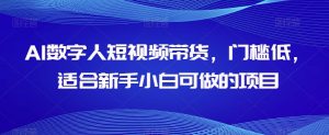 AI数字人短视频带货,门槛低,适合新手小白可做的项目-淘金日记